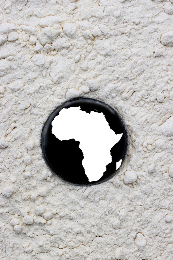 Governance Under Pressure: Institutional Responses to Political Disruption